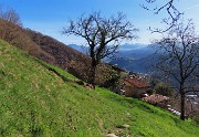 Festa di fiori sui sentieri per il Monte Ubione-19mar24